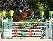 FRANA Pakitas GioCav2013 S6 7522 : Campionati Italiani Giovani Cavalli, Cattolica, FRANA Enrico Maria, Pakitas, ph Stefano Secchi ©