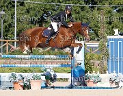 FRANA Pakitas GioCav2013 S6 7524 : Campionati Italiani Giovani Cavalli, Cattolica, FRANA Enrico Maria, Pakitas, ph Stefano Secchi ©