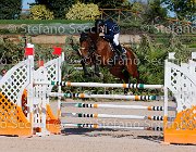 FRANCO CSI GioCav2013 S5 1717 : CSI, Campionati Italiani Giovani Cavalli, Cattolica, FRANCO Francesco, ph Stefano Secchi ©