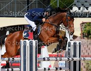 FRANCO CSI GioCav2013 S5 1719 : CSI, Campionati Italiani Giovani Cavalli, Cattolica, FRANCO Francesco, ph Stefano Secchi ©