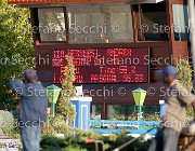 Galeazzi Giotto GioCav2013 S5 3478 : Campionati Italiani Giovani Cavalli, Cattolica, Galeazzi Chiara, Giotto di santa marta, ph Stefano Secchi ©