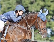 Galeazzi Giotto GioCav2013 S6 7663 : Campionati Italiani Giovani Cavalli, Cattolica, Galeazzi Chiara, Giotto di santa marta, ph Stefano Secchi ©