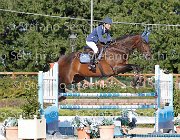 Galeazzi Giotto GioCav2013 S6 7667 : Campionati Italiani Giovani Cavalli, Cattolica, Galeazzi Chiara, Giotto di santa marta, ph Stefano Secchi ©