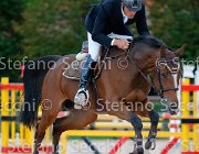 Giganti Quaynar GioCav2013 S5 2168 : Campionati Italiani Giovani Cavalli, Cattolica, Giganti Fernando, Quaynar, ph Stefano Secchi ©