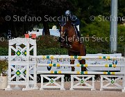 Gozzini CAntina GioCav2013 S5 1571 : CAntina, Campionati Italiani Giovani Cavalli, Cattolica, Gozzini Cristian, ph Stefano Secchi ©