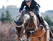 Gozzini Canturano GioCav2013 S5 3226 : Campionati Italiani Giovani Cavalli, Canturano, Cattolica, Gozzini Cristian, ph Stefano Secchi ©