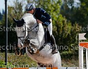 Gozzini Dithara GioCav2013 S5 3320 : Campionati Italiani Giovani Cavalli, Cattolica, Dithara, Gozzini Cristian, ph Stefano Secchi ©