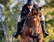 Granese Chilosciu GioCav2013 S5 3514 : Campionati Italiani Giovani Cavalli, Cattolica, Chilosciu, Granese Annibale, ph Stefano Secchi ©