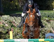 Granese Chilosciu GioCav2013 S6 7555 : Campionati Italiani Giovani Cavalli, Cattolica, Chilosciu, Granese Annibale, ph Stefano Secchi ©