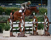 Guarducci Pintadera GioCav2013 S5 0993 : Campionati Italiani Giovani Cavalli, Cattolica, Guarducci Francesco, Pintadera, ph Stefano Secchi ©