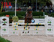 Guarducci Pintadera GioCav2013 S5 0994 : Campionati Italiani Giovani Cavalli, Cattolica, Guarducci Francesco, Pintadera, ph Stefano Secchi ©