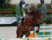 Guarducci Pintadera GioCav2013 S5 0997 : Campionati Italiani Giovani Cavalli, Cattolica, Guarducci Francesco, Pintadera, ph Stefano Secchi ©