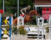 Guarducci Pintadera GioCav2013 S5 3825 : Campionati Italiani Giovani Cavalli, Cattolica, Guarducci Francesco, Pintadera, ph Stefano Secchi ©