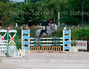 Guidetti Omnia GioCav2013 S5 0970 : Campionati Italiani Giovani Cavalli, Cattolica, Guidetti Moreno, Omnia, ph Stefano Secchi ©