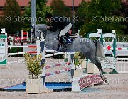 Guidetti Omnia GioCav2013 S5 0978 : Campionati Italiani Giovani Cavalli, Cattolica, Guidetti Moreno, Omnia, ph Stefano Secchi ©