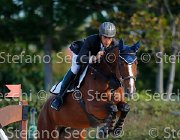 Guspini Pesetas GioCav2013 S5 1524 : Campionati Italiani Giovani Cavalli, Cattolica, Guspini Andrea, Pesetas, ph Stefano Secchi ©