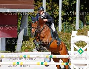 Longhi Amaranta GioCav2013 S5 1630 : Amaranta, Campionati Italiani Giovani Cavalli, Cattolica, Longhi Alessio, ph Stefano Secchi ©