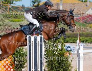Lucchetti Benji GioCav2013 S5 1810 : Benji, Campionati Italiani Giovani Cavalli, Cattolica, Lucchetti Giovanni, ph Stefano Secchi ©