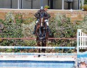 Lucchetti Benji GioCav2013 S5 1814 : Benji, Campionati Italiani Giovani Cavalli, Cattolica, Lucchetti Giovanni, ph Stefano Secchi ©