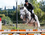 Magaton Adarticone GioCav2013 S5 3223 : Adarticone, Campionati Italiani Giovani Cavalli, Cattolica, Magaton Giovanni, ph Stefano Secchi ©