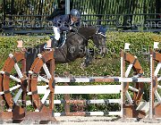 Mantoan Cantara GioCav2013 S6 7469 : Campionati Italiani Giovani Cavalli, Cantara, Cattolica, Mantoan Luca, ph Stefano Secchi ©