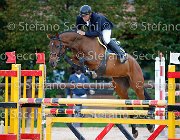 Marangotto Sidda GioCav2013 S5 2159 : Campionati Italiani Giovani Cavalli, Cattolica, Marangotto Marco, Sidda, ph Stefano Secchi ©
