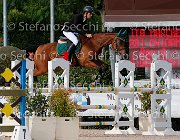 Marchese Chidamina GioCav2013 S5 3627 : Campionati Italiani Giovani Cavalli, Cattolica, Chidamina, Marchese Carlalberto, ph Stefano Secchi ©