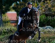 MASCENTI Dylady GioCav2013 S5 1375 : Campionati Italiani Giovani Cavalli, Cattolica, Dylady, MASCENTI Bryan, ph Stefano Secchi ©