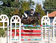 MASCENTI Simar GioCav2013 S6 7748 : Campionati Italiani Giovani Cavalli, Cattolica, MASCENTI Bryan, Simar, ph Stefano Secchi ©