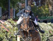 MASCENTI Simar GioCav2013 S6 7752 : Campionati Italiani Giovani Cavalli, Cattolica, MASCENTI Bryan, Simar, ph Stefano Secchi ©