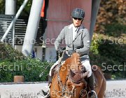 merlini Aglaia GioCav2013 S6 7496 : Aglaia, Campionati Italiani Giovani Cavalli, Cattolica, merlini Adriana, ph Stefano Secchi ©