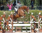 merlini Aglaia GioCav2013 S6 7497 : Aglaia, Campionati Italiani Giovani Cavalli, Cattolica, merlini Adriana, ph Stefano Secchi ©