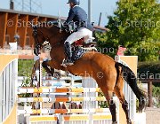 Messersi Dulcinea GioCav2013 S5 1347 : Campionati Italiani Giovani Cavalli, Cattolica, Dulcinea, Messersi Andrea, ph Stefano Secchi ©