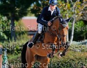 Messersi Dulcinea GioCav2013 S5 1350 : Campionati Italiani Giovani Cavalli, Cattolica, Dulcinea, Messersi Andrea, ph Stefano Secchi ©