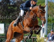 Messersi Dulcinea GioCav2013 S5 3930 : Dulcinea, Horses, Messersi Andrea, ph Stefano Secchi ©