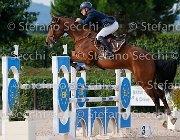 Messersi Dulcinea GioCav2013 S5 3932 : Dulcinea, Horses, Messersi Andrea, ph Stefano Secchi ©