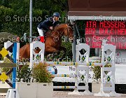 Messersi Dulcinea GioCav2013 S5 3933 : Dulcinea, Horses, Messersi Andrea, ph Stefano Secchi ©