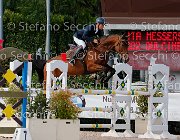Messersi Dulcinea GioCav2013 S5 3934 : Dulcinea, Horses, Messersi Andrea, ph Stefano Secchi ©