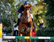 Messersi Laerte GioCav2013 S5 3471 : Campionati Italiani Giovani Cavalli, Cattolica, Laerte del ma, Messersi Andrea, ph Stefano Secchi ©