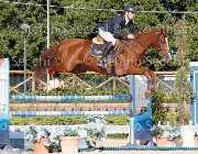 Messersi Laerte GioCav2013 S6 7618 : Campionati Italiani Giovani Cavalli, Cattolica, Laerte del ma, Messersi Andrea, ph Stefano Secchi ©