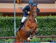 Messersi Qualita GioCav2013 S5 4237 : Campionati Italiani Giovani Cavalli, Cattolica, Messersi Andrea, Qualita, ph Stefano Secchi ©