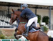 Metrangolo Camelot GioCav2013 S5 2767 : Camelot, Campionati Italiani Giovani Cavalli, Cattolica, Metrangolo Ettore, ph Stefano Secchi ©