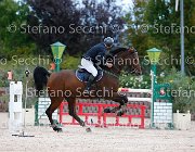Metrangolo Camelot GioCav2013 S5 2881 : Camelot, Campionati Italiani Giovani Cavalli, Cattolica, Metrangolo Ettore, ph Stefano Secchi ©
