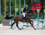 Metrangolo Camelot GioCav2013 S5 2884 : Camelot, Campionati Italiani Giovani Cavalli, Cattolica, Metrangolo Ettore, ph Stefano Secchi ©