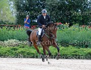 Metrangolo Camelot GioCav2013 S5 2891 : Camelot, Campionati Italiani Giovani Cavalli, Cattolica, Metrangolo Ettore, ph Stefano Secchi ©