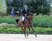 Metrangolo Camelot GioCav2013 S5 2892 : Camelot, Campionati Italiani Giovani Cavalli, Cattolica, Metrangolo Ettore, ph Stefano Secchi ©