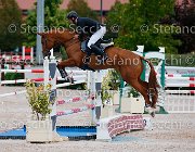 Milella Awinita GioCav2013 S5 1013 : Awinita, Campionati Italiani Giovani Cavalli, Cattolica, Milella Fabrizio, ph Stefano Secchi ©