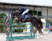 Minardi Primula GioCav2013 S5 2487 : Campionati Italiani Giovani Cavalli, Cattolica, Minardi Claudio, Primula di Santa Marta, ph Stefano Secchi ©