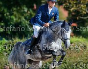 Mion Asia GioCav2013 S5 1613 : Asia, Campionati Italiani Giovani Cavalli, Cattolica, Mion Cristiano, ph Stefano Secchi ©