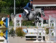 Mion Asia GioCav2013 S5 3869 : Asia, Campionati Italiani Giovani Cavalli, Cattolica, Mion Cristiano, ph Stefano Secchi ©